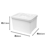 【収納ボックス】 ユメミグサ 取っ手付き収納ボックス ホワイト(白)22L PD-71-3 1個