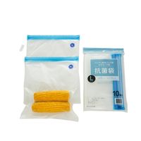 CCP ハンディ真空パック器 セラセーブ 抗菌袋 Lサイズ EX-4051-00 1パック