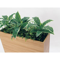 ベルク BOXプランター GR2010 1台（直送品）