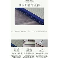 セパレジオ 国産い草 置き畳 幅880×奥行1956×高さ35ｍｍ 63x1111100-ＩＧＵ 1セット(3枚入)（直送品）