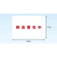 デリバリーパック 完全密封タイプ A5サイズ用 全面糊 納品書在中 PAー066T 1パック（100枚入） パピルスカンパニー