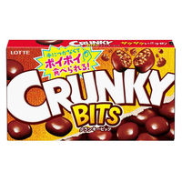 チョコレート菓子 クランキービッツ　63g 1セット（1個×6）