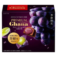 チョコレート菓子 プレミアムガーナ　フルーツショコラ　完熟巨峰　65g 1セット（1個×3）