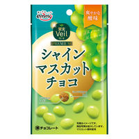 チョコレート 果実Veilシャインマスカットチョコ 37g 1セット（1個×6）