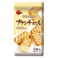 チョコレート菓子 食べきりサイズ ブランチュール 9個入 1セット（1袋×12）