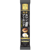 せんべい 煎餅 食べきりサイズ 大人のプチ　濃密カマンアーモンドおかき 10個入 1セット（1袋×10）