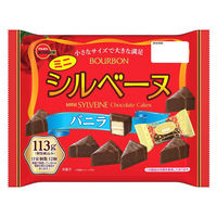 チョコレート菓子 食べきりサイズ ミニシルベーヌ　バニラ 113g 1セット（1個×6）