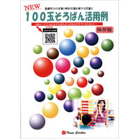 トモエ算盤 教授用カラー百玉そろばん 00254628 1枚（直送品）