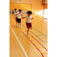 エバニュー ラダーロープ 5m(低学年用) 00266754 1本（直送品）