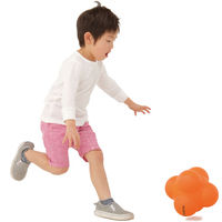 エバニュー イレギュラーボール ラージ 00274363 1個（直送品）