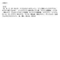 Celvoke（セルヴォーク） ヴァティック アイパレット12 ライブリーテラコッタ（定番デザイン） コスメキッチン