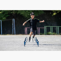 エバニュー ソフトドリルハードルゼロ 00362843 1個（直送品）