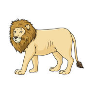 教育技術研究所 トレーニングフラッシュカードどうぶつあて 00364444 1組（直送品）