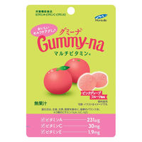 グミ 食べきりサイズ グミーナ　マルチビタミン 1セット（1個×6）
