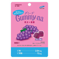 グミ 食べきりサイズ グミーナ　鉄分＋葉酸 1セット（1個×6）