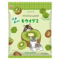 グミ 食べきりサイズ mofusand ぷよむにキウイグミ　50g 1セット（1個×24）