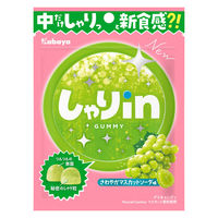 グミ 食べきりサイズ しゃりinグミ　マスカットソーダ 1セット（1個×10）