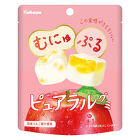 グミ 食べきりサイズ ピュアラルグミ　りんご 1セット（1個×16）