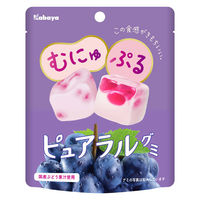 グミ 食べきりサイズ ピュアラルグミ　ぶどう 1セット（1個×16）