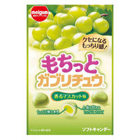 チューイングキャンディ　駄菓子 子ども向けお菓子 もちっとガブリチュウマスカット 35g 1セット（1個×20）