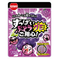 グミ 食べきりサイズ すっぱいぶどうグミだけにご用心 28g 1セット（1個×10）
