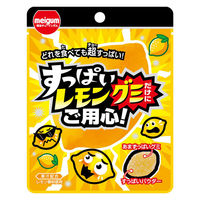 グミ　駄菓子 子ども向けお菓子 すっぱいレモングミだけにご用心 28g 1セット（1個×10）