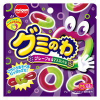 グミ　駄菓子 子ども向けお菓子 グミのわ　グレープ＆マスカット  22g 1セット（1個×12）