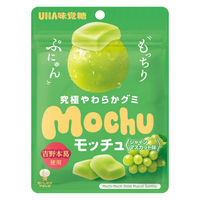 グミ 食べきりサイズ モッチュ　シャインマスカット 1セット（1個×20）