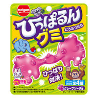 グミ　駄菓子 子ども向けお菓子 ひっぱるんグミ　どうぶつたち　23g 1セット（1個×28）
