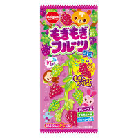 グミ　駄菓子 子ども向けお菓子 もぎもぎフルーツグミ 1セット（1個×12）