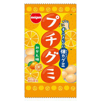 グミ　駄菓子 子ども向けお菓子 プチグミ　みかん 1セット（1個×12）