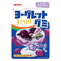 グミ 食べきりサイズ ヨーグレットグミ　フリュイブルーベリー 1セット（1個×20）