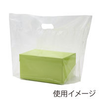 【手抜きポリ袋】シモジマ HEIKO 手抜きポリ袋 LDポリ BG44-29.5 透明 1袋（100枚入） 006996652