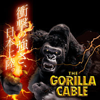 トリニティ Gorillaケーブル C to 60W 150cm ジェットブラック TR-CACC15-GOBK 1個