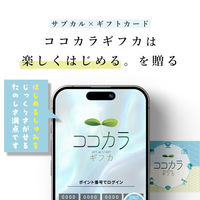 ロワール 【包装付】ココカラギフカ カタログギフト カード 3000ポイント PK03000 1個（直送品）