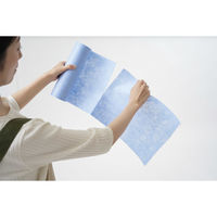 ニーズ しっかり吸水!シューオーケー 1-00359-001 1ロール（直送品）