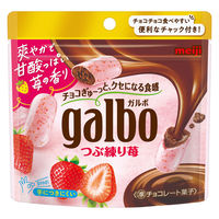 チョコレート菓子 ガルボ　つぶ練り苺　パウチ 1セット（1個×12）