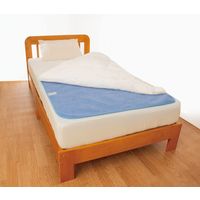 サンファミリー 洗える防ダニ除湿シート ブルー a25017 1セット(2枚組)