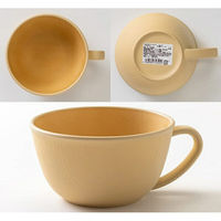 カノー earthcolor 抗菌カップ IV 4968982743222 1個（直送品）