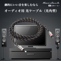 Hanx Hanx-Tech光デジタルケーブル HT-SS56BY-3M 1本（直送品）