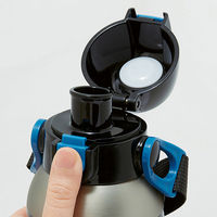 STCH6 ショルダーベルト付ダイレクトステンレスボトル 600ml 【ポケットモンスター 25】 696428-STCH6 1個（直送品）