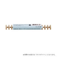 リヒトラブ カスタマイズ オープンリングノート とじ具 A6 オフホワイト N2922-1 1組