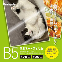 ナカバヤシ ラミネートフィルム75μm 100枚入り B5サイズ LPR-B5E2-75 1冊