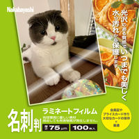 ナカバヤシ ラミネートフィルム75μm 100枚入り 名刺サイズ LPR-61E2-75 1冊