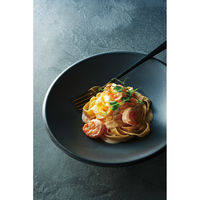 台和 23.5cmクーププレート スレートグレーMT SJ-51-SLGM 1個（直送品）