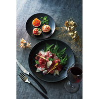 台和 23cm平皿 黒 SJ-7-BK 1個（直送品）