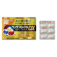 ベンザブロックSプレミアムDX 12カプレット アリナミン製薬 風邪薬 鼻水 鼻づまり のどの痛み くしゃみ せき たん【指定第2類医薬品】