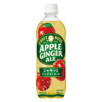 サントリー クラフトボス アップルジンジャーエール 500ml 1セット（48本）