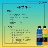 シロップ 割り材 業務用 キャプテン ブルー 瓶 600ml 1本 かき氷 カキ氷