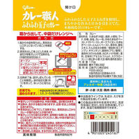 グリコ カレー職人 ふわふわ玉子のカレー 甘口 170g 1セット（2食入）（わけあり品）